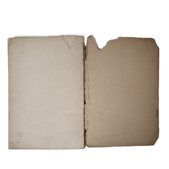 Mexico? Si, Señor Revised Edition 1894 Original TradePaperback by Thos L Rogers - Picture 7 of 8